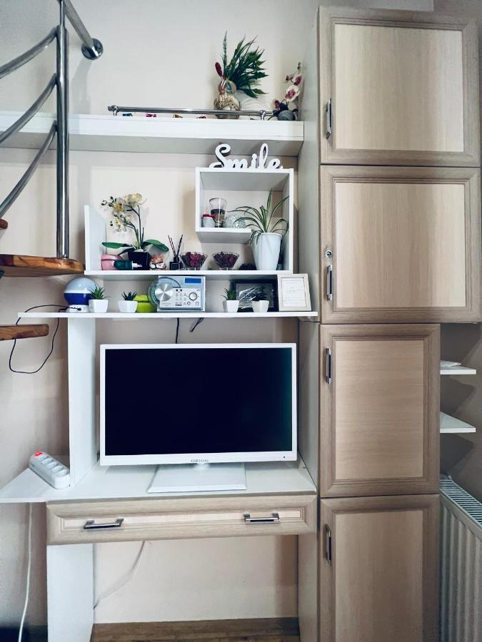 Apartment In The City Center Mini Ivano-Frankivsk Eksteriør billede