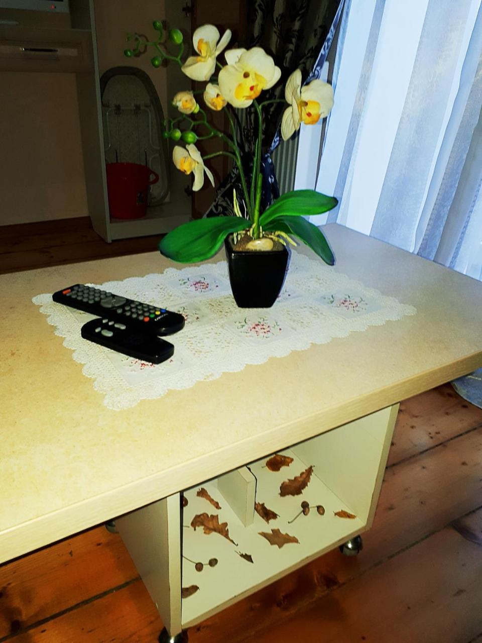 Apartment In The City Center Mini Ivano-Frankivsk Eksteriør billede